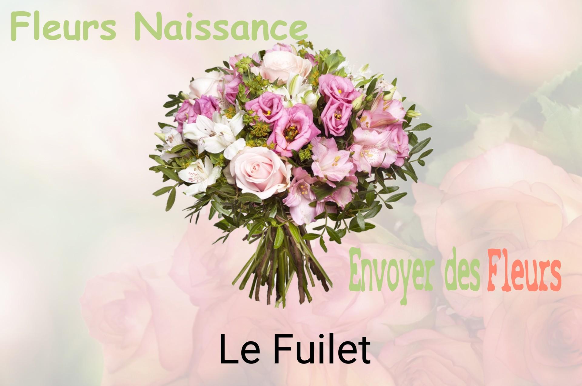 Bouquet de fleurs de naissance livré à Le Fuilet